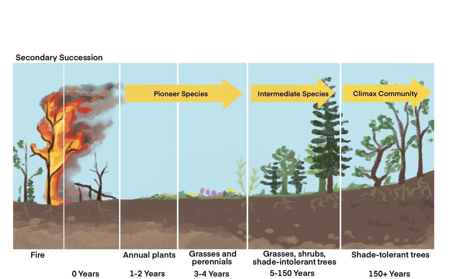 Changing Ecosystems