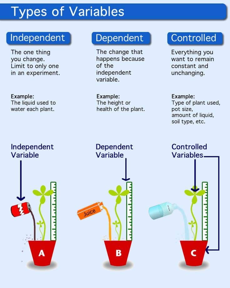 what-does-independent-variable-mean-in-biology-tutordale